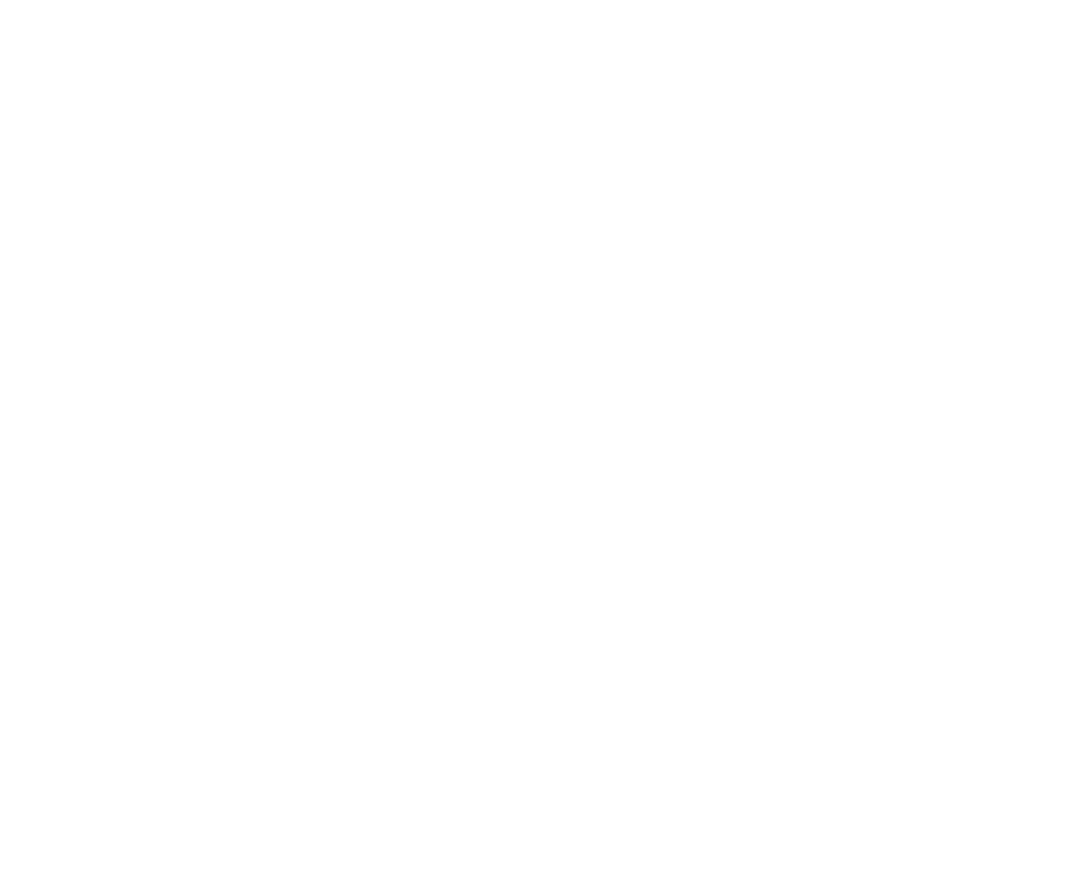 iVend Retail Partner