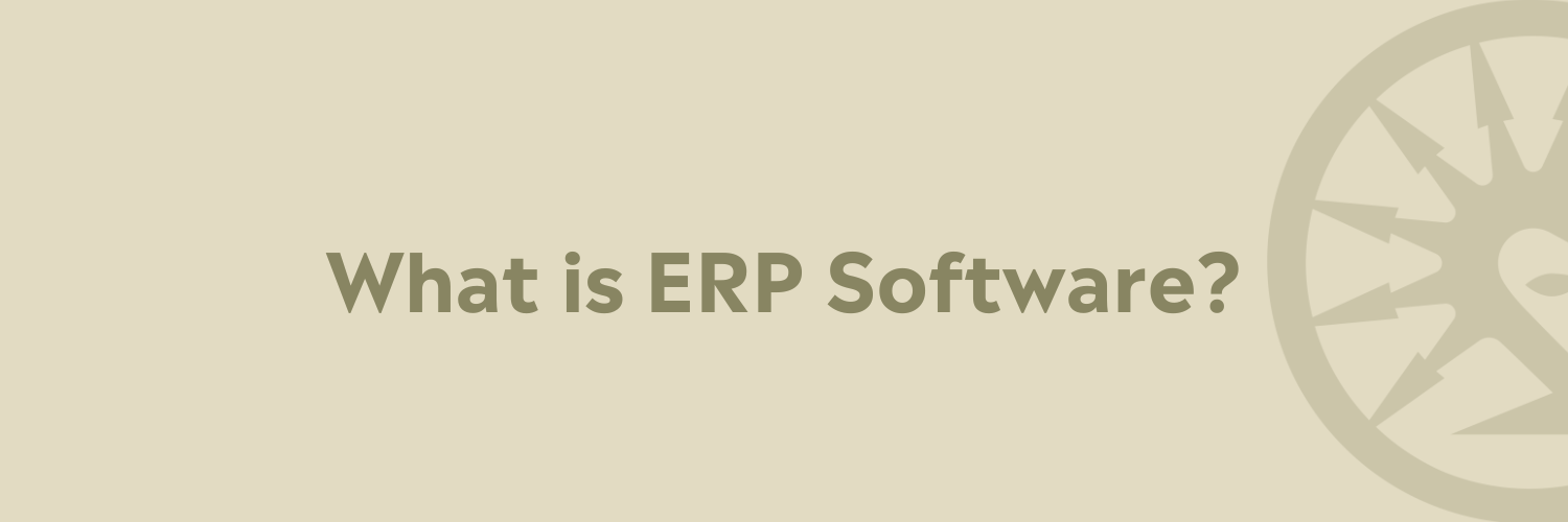 What is ERP Software?