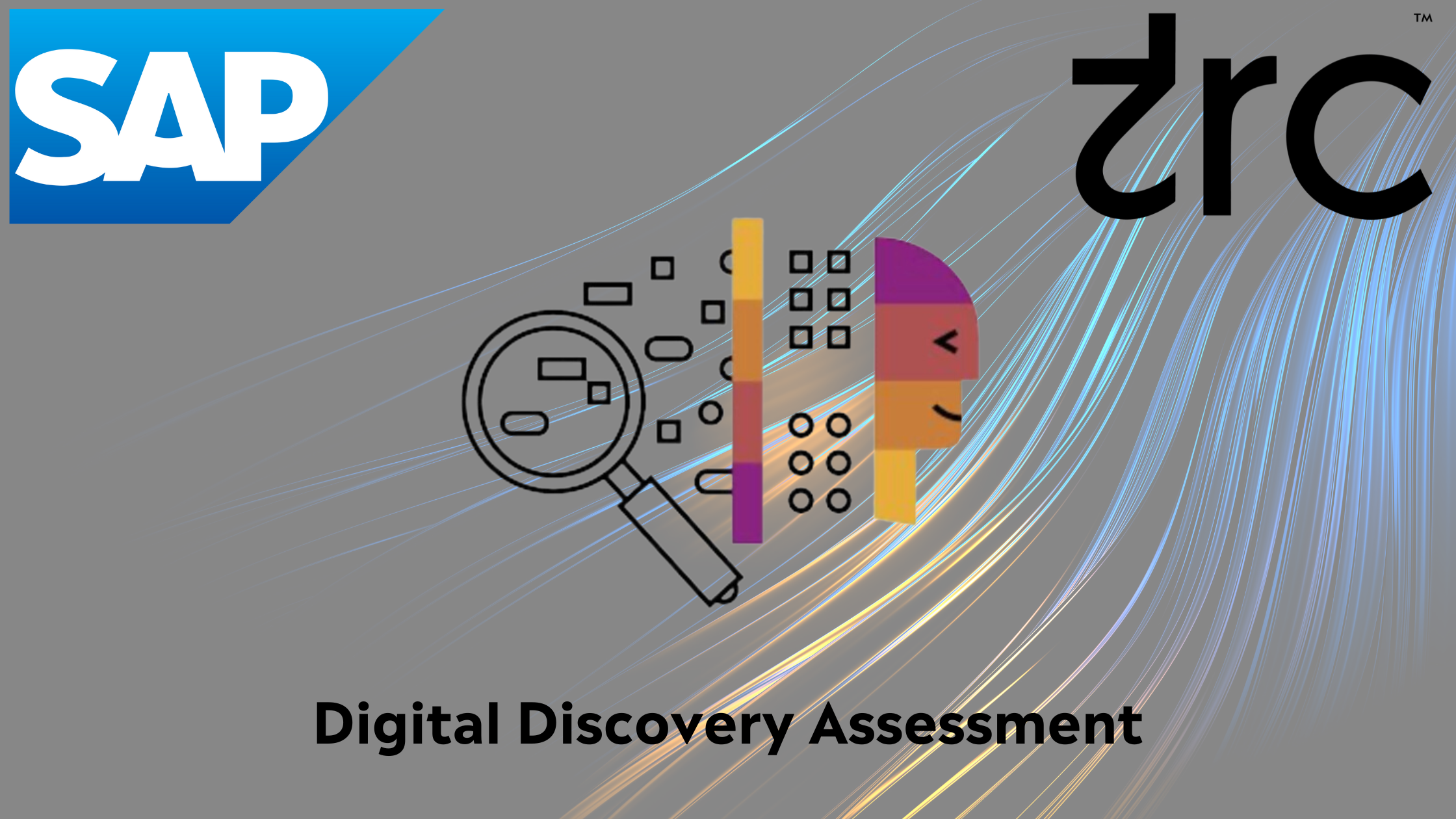 SAP Digital Discovery Assessment